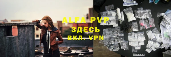 молекула духа Заволжье
