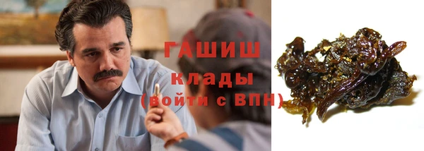 СК Елизово