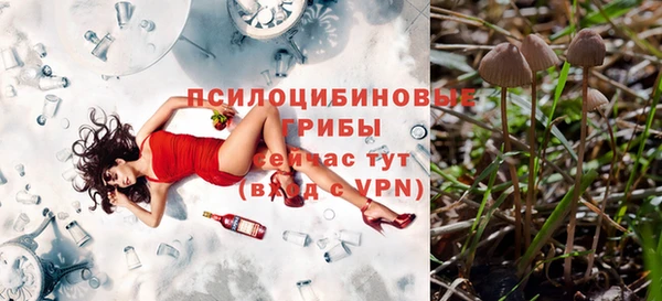 spice Нестеровская