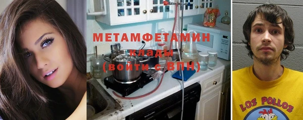 индика Калининец