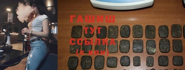 МДПВ Ельня